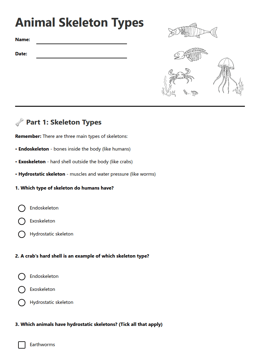 Animal Skeleton Types worksheet preview