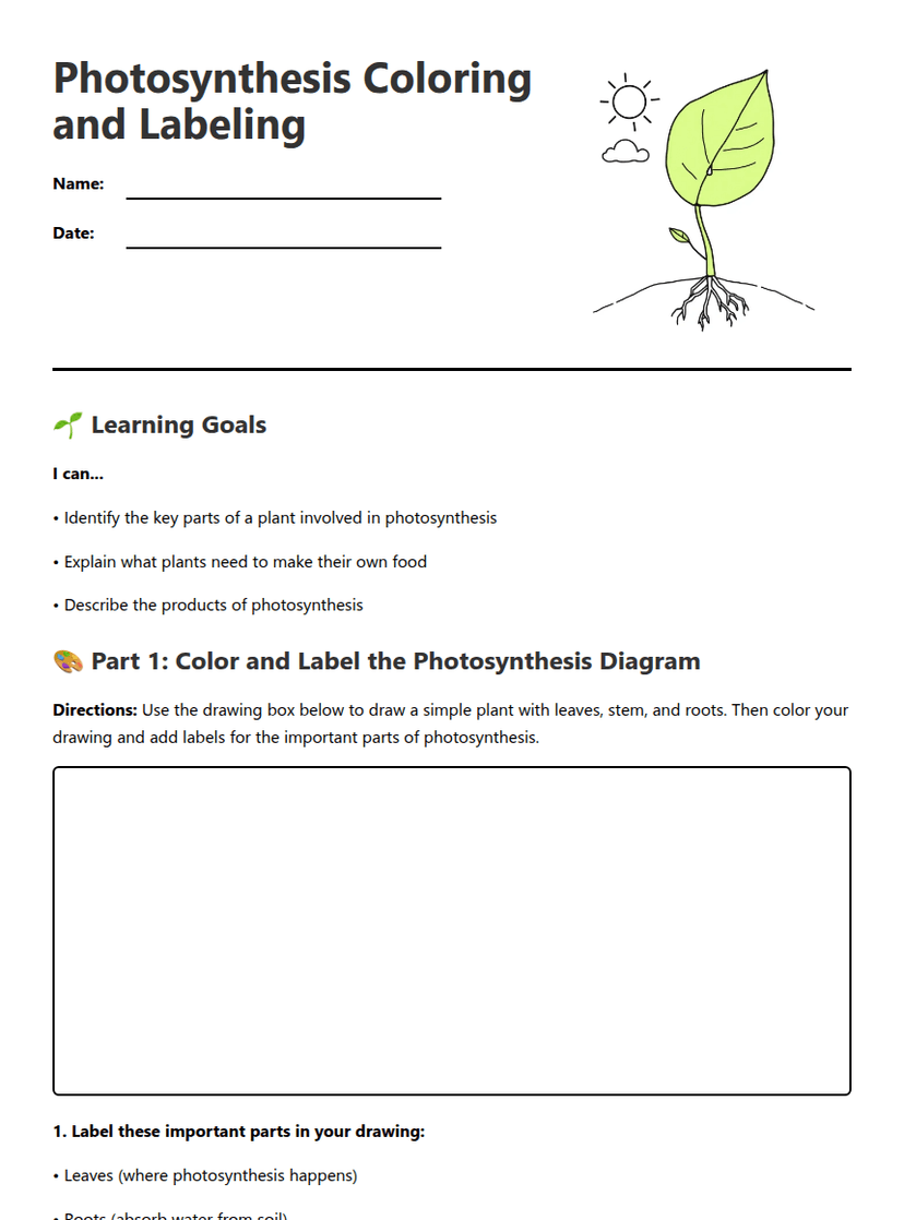 Photosynthesis Coloring and Labeling
