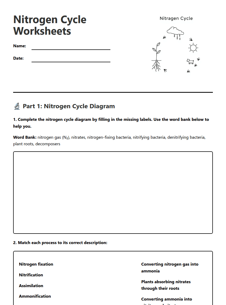 Nitrogen Cycle Worksheets worksheet preview