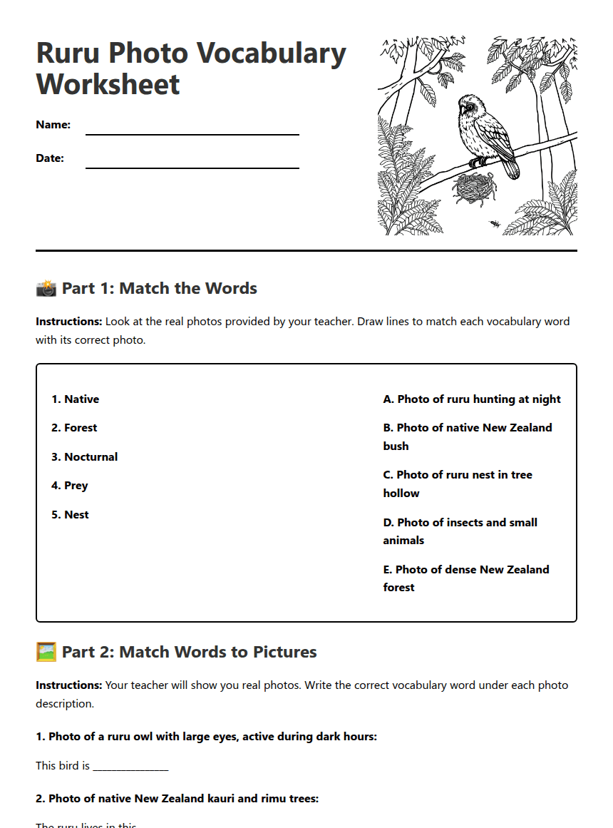 Ruru Photo Vocabulary Worksheet worksheet preview