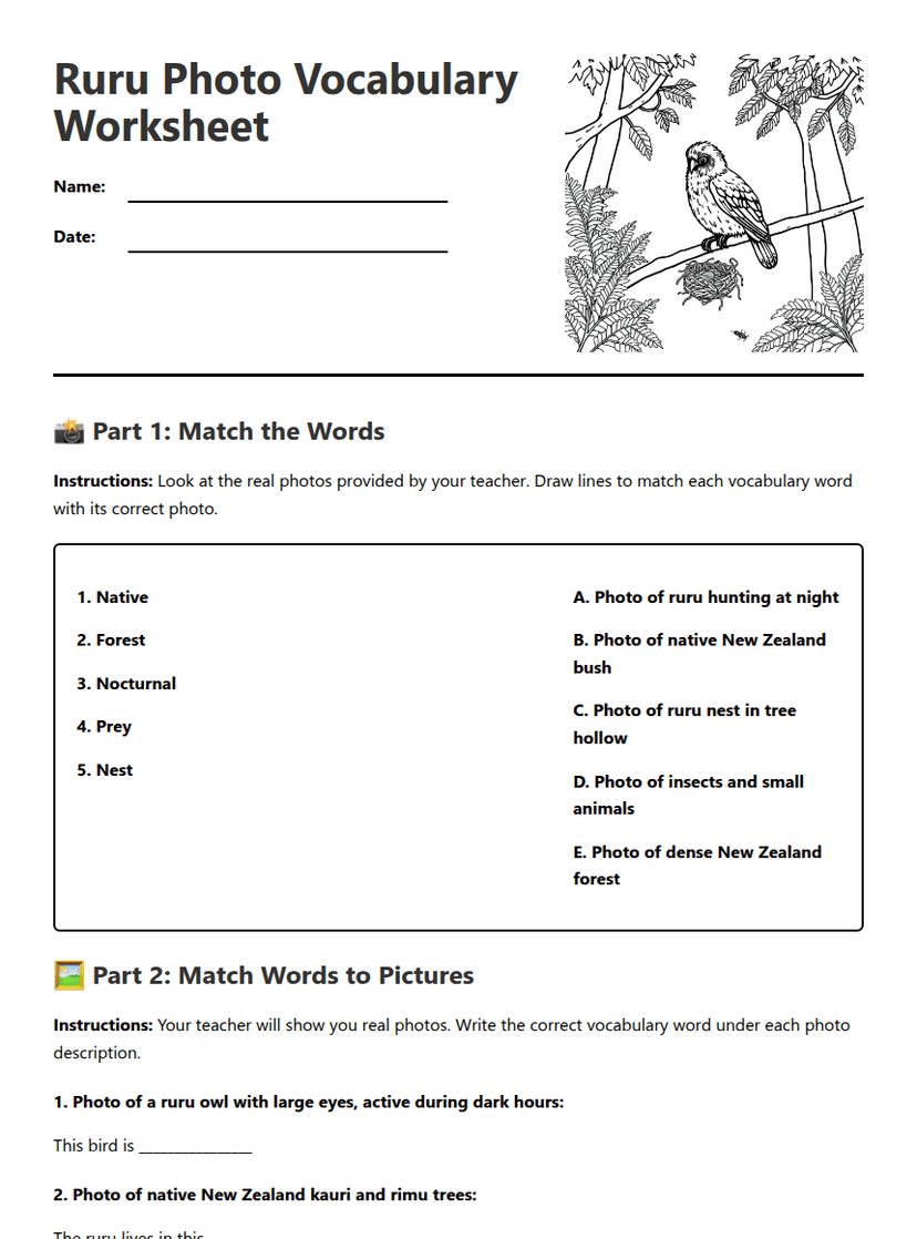 Ruru Photo Vocabulary Worksheet