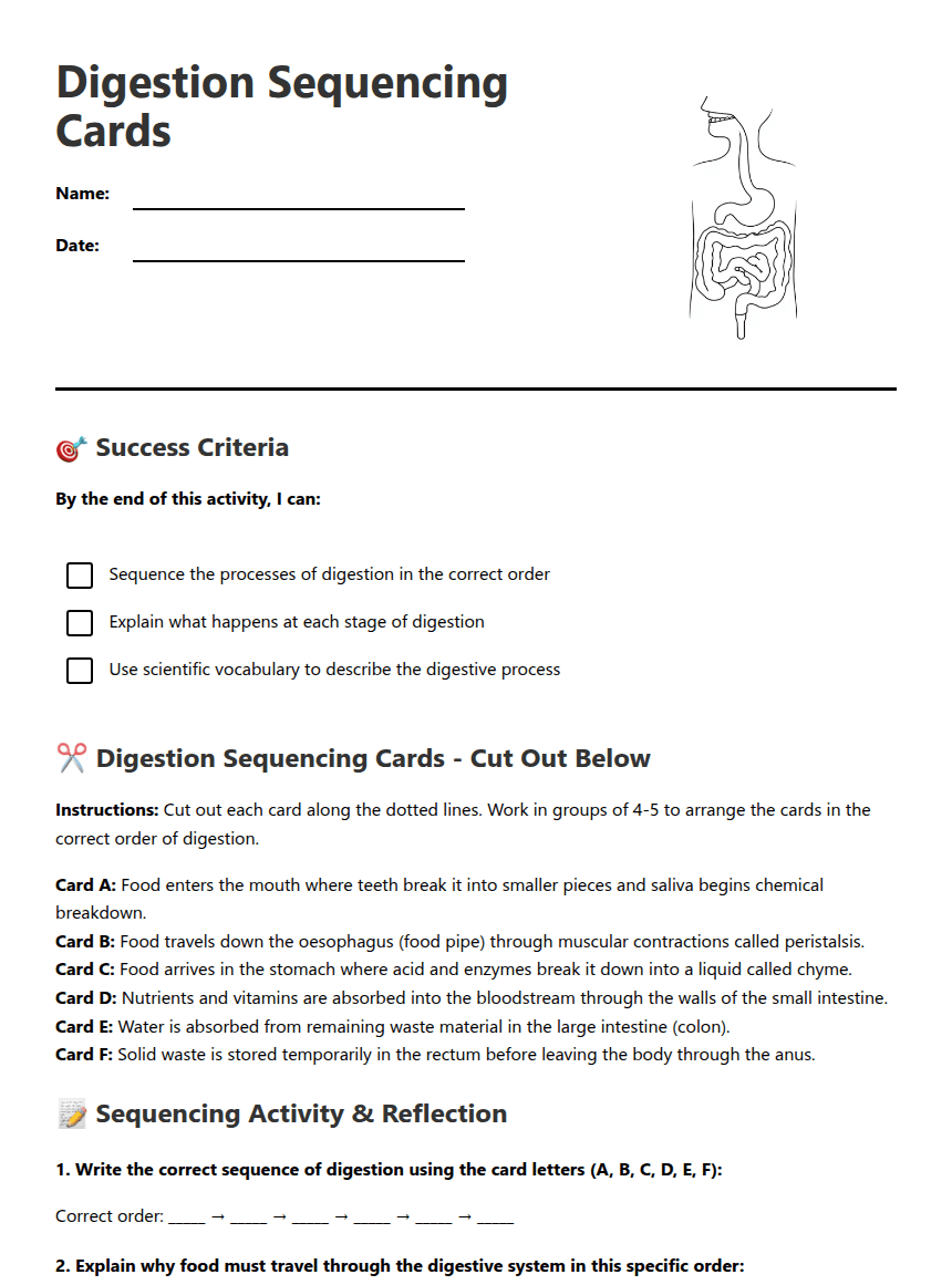 Digestion Sequencing Cards worksheet preview