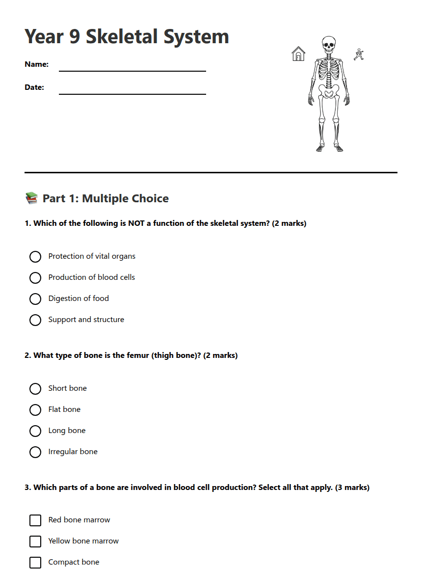 Year 9 Skeletal System worksheet preview