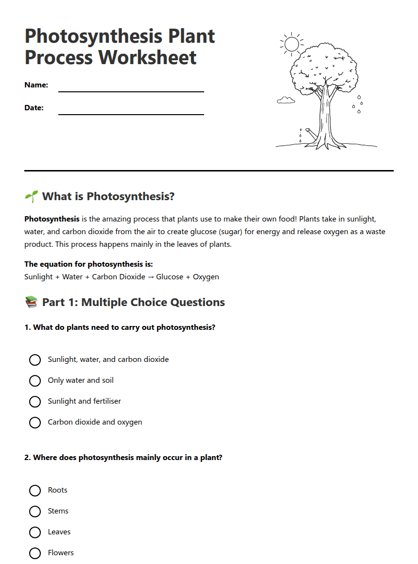 Photosynthesis Plant Process Worksheet worksheet preview