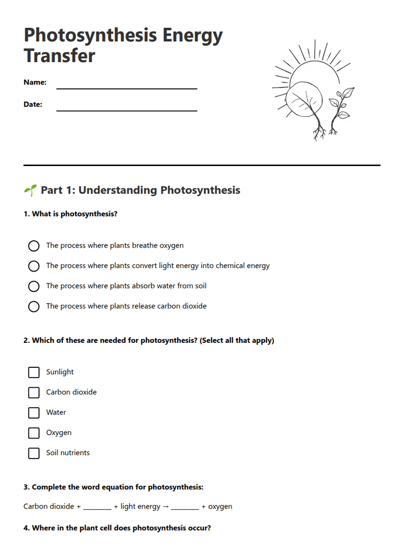 Photosynthesis Energy Transfer