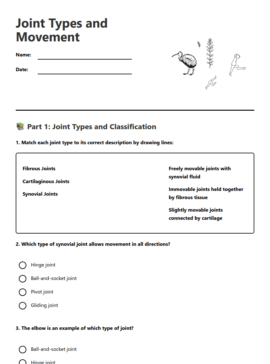 Joint Types and Movement worksheet preview