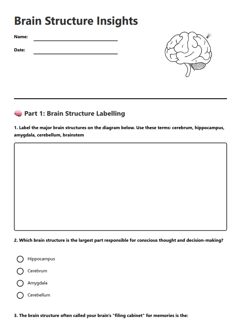 Brain Structure Insights