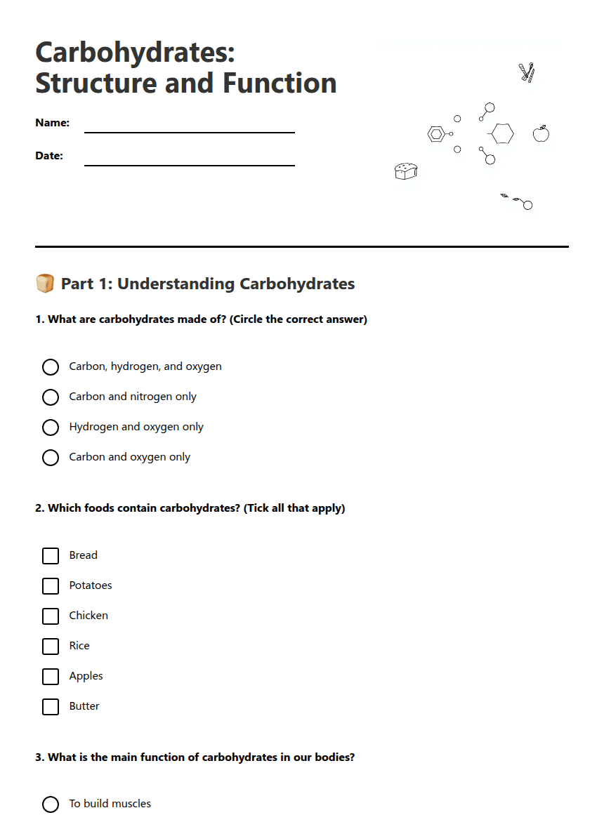 Carbohydrates: Structure and Function worksheet preview