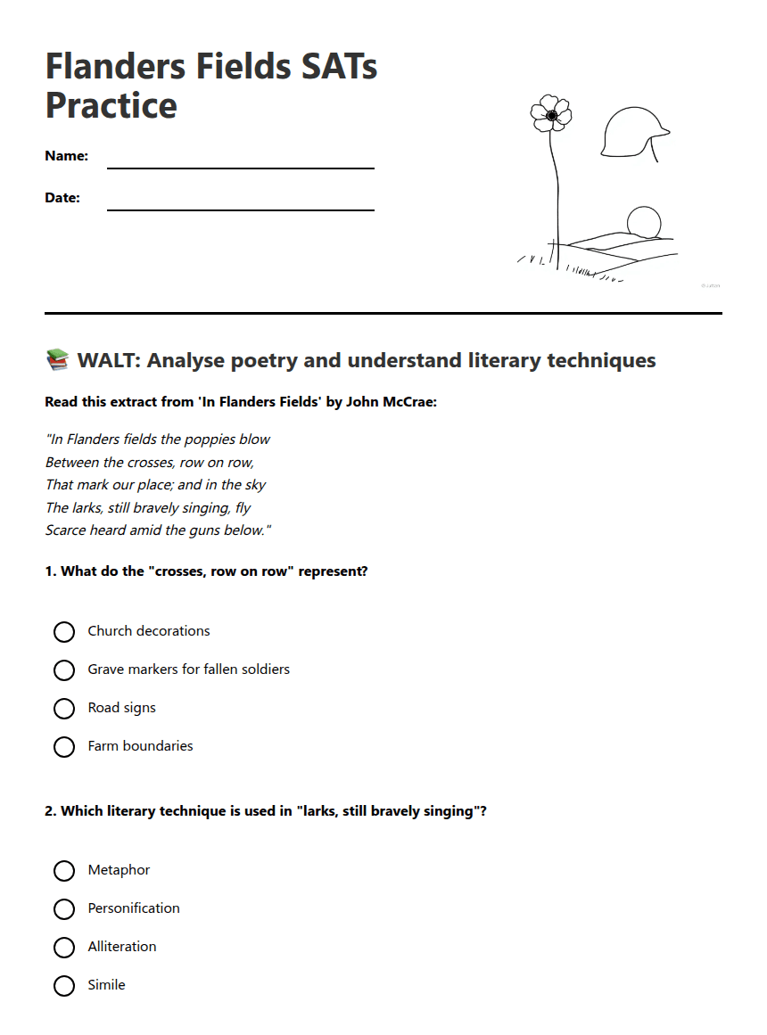 Flanders Fields SATs Practice worksheet preview