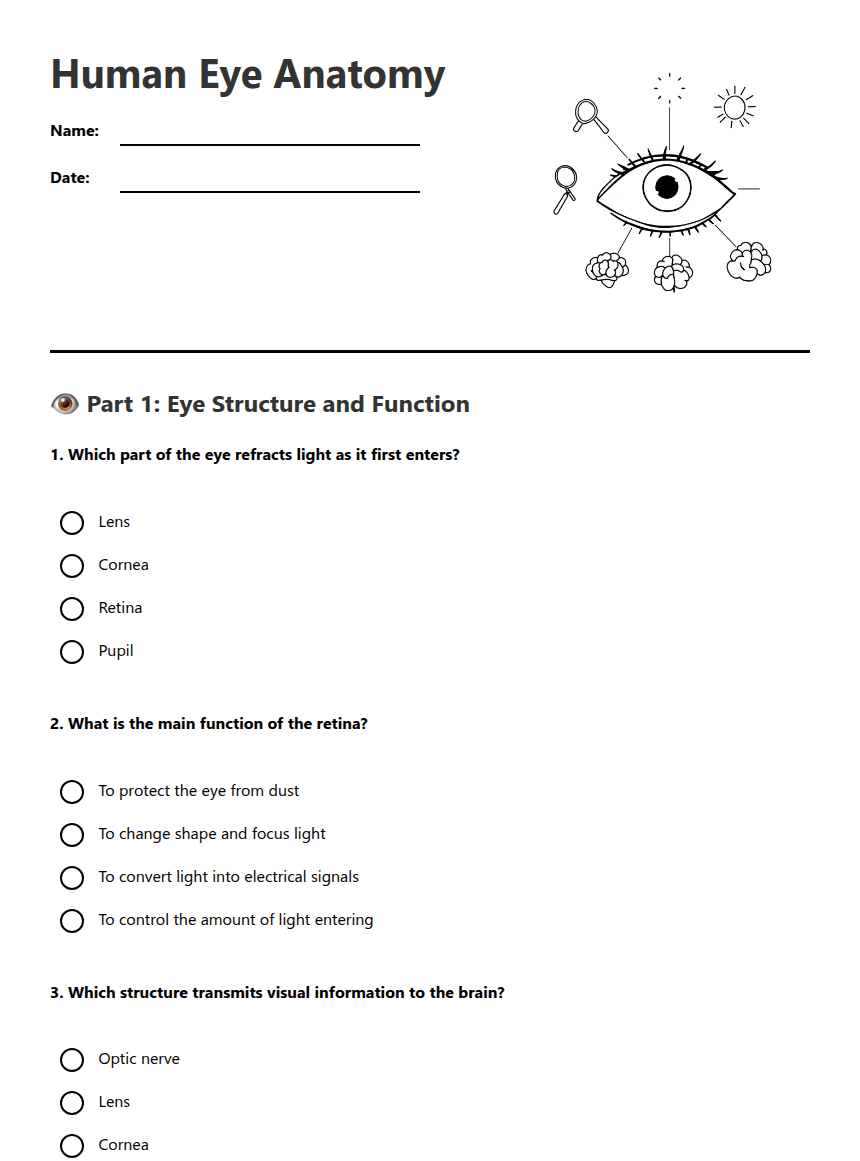 Human Eye Anatomy worksheet preview