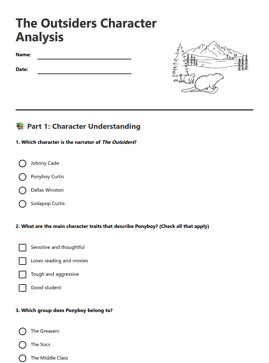 The Outsiders Character Analysis worksheet preview
