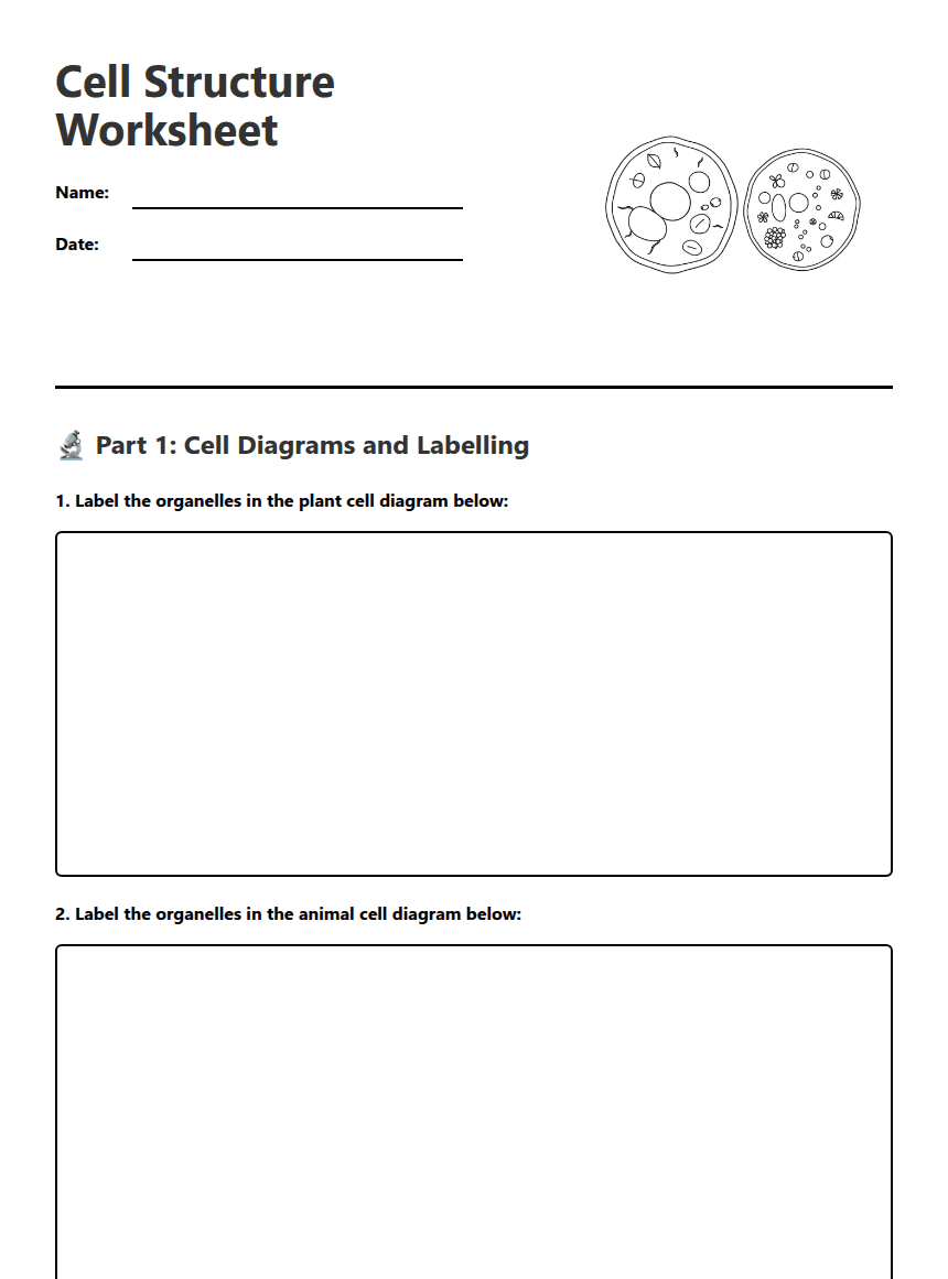 Cell Structure Worksheet worksheet preview