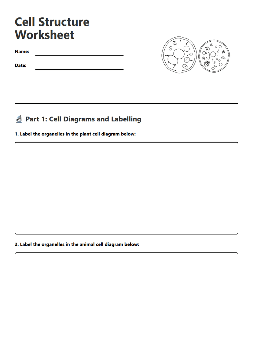 Cell Structure Worksheet