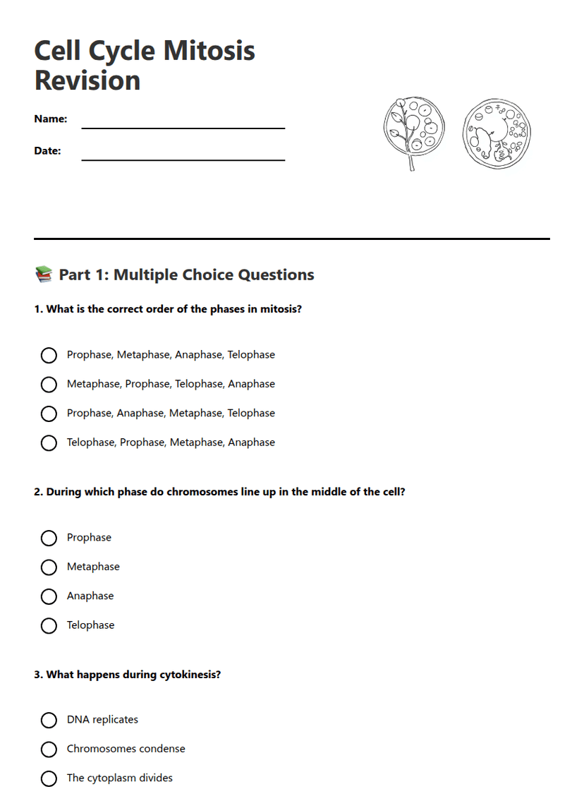 Cell Cycle Mitosis Revision