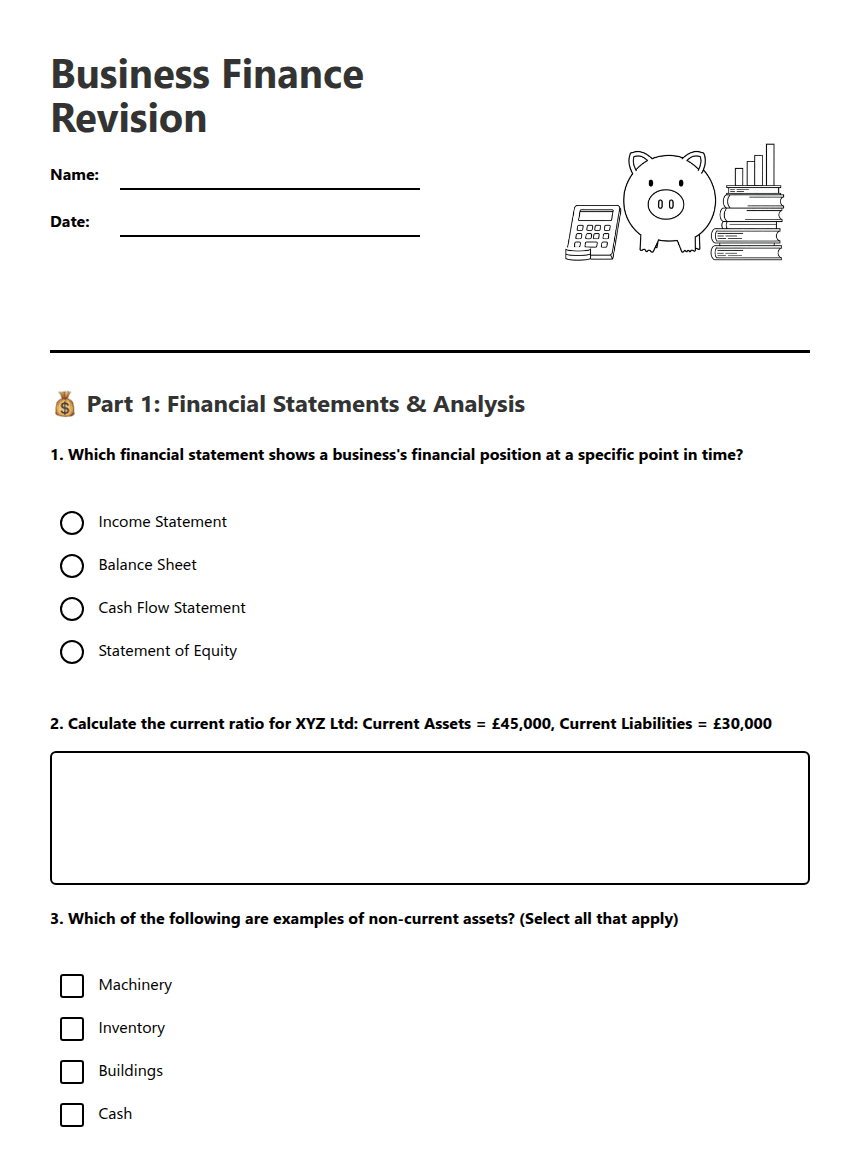 Business Finance Revision worksheet preview