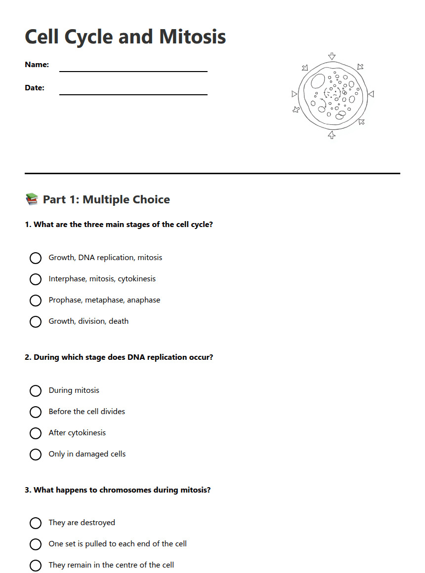 Cell Cycle and Mitosis worksheet preview