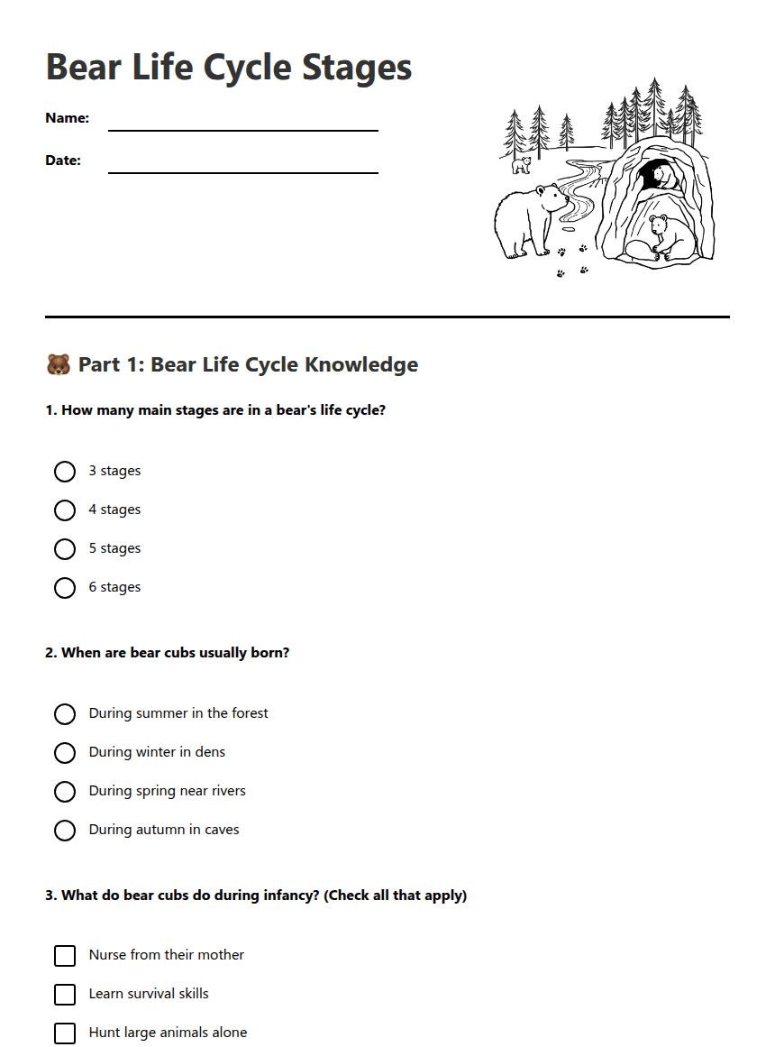 Bear Life Cycle Stages worksheet preview