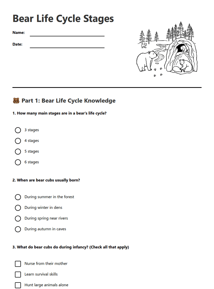 Bear Life Cycle Stages