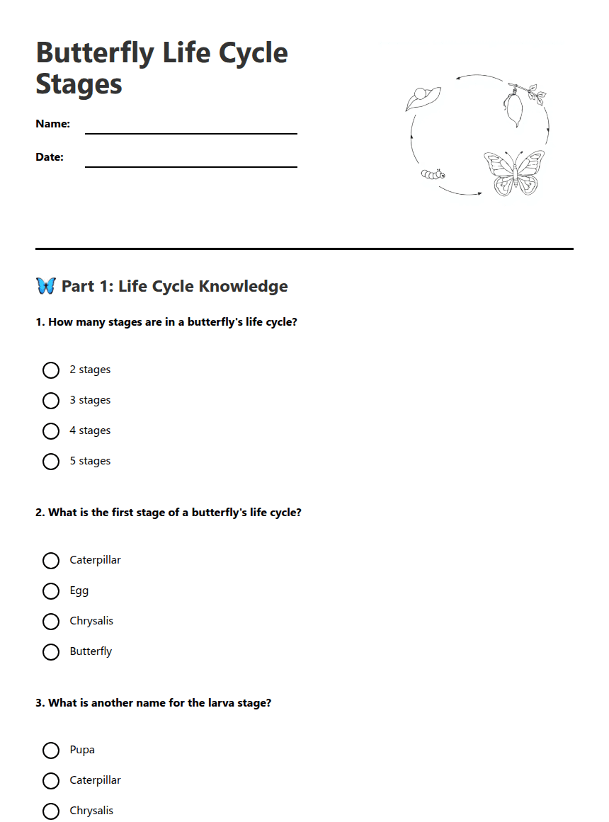Butterfly Life Cycle Stages worksheet preview