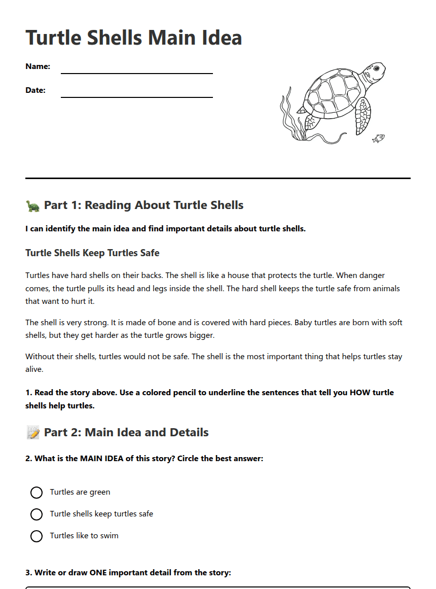 Turtle Shells Main Idea worksheet preview