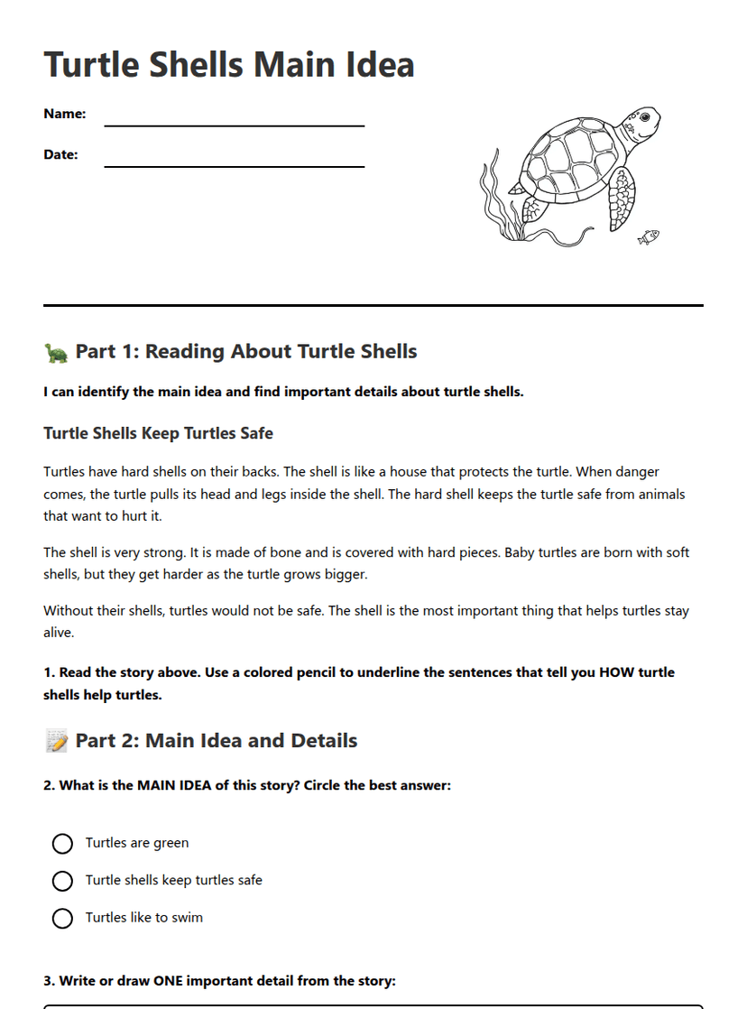 Turtle Shells Main Idea
