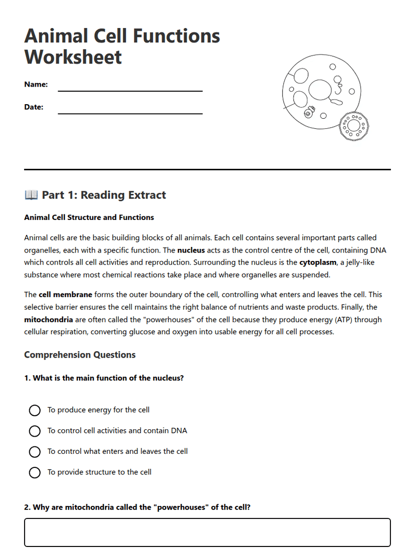 Animal Cell Functions Worksheet