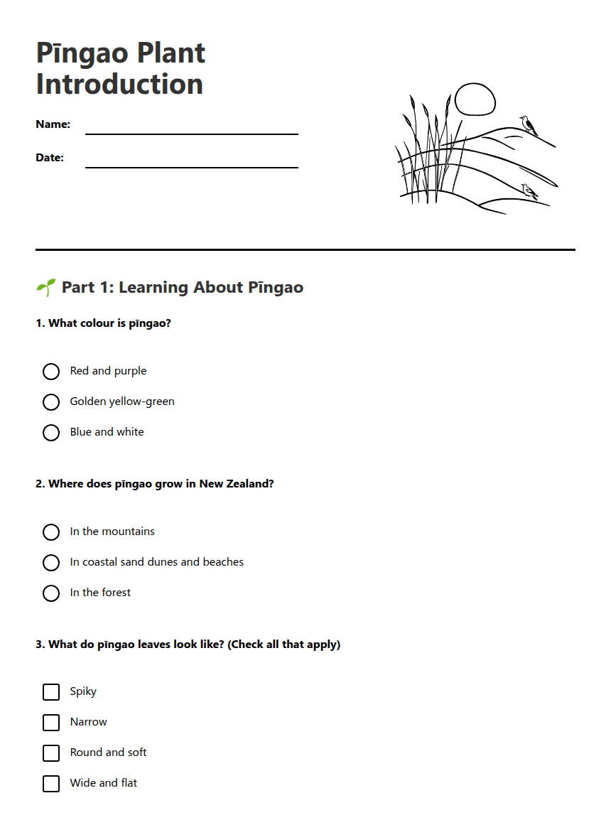 Pīngao Plant Introduction worksheet preview
