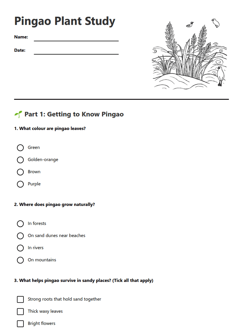Pingao Plant Study