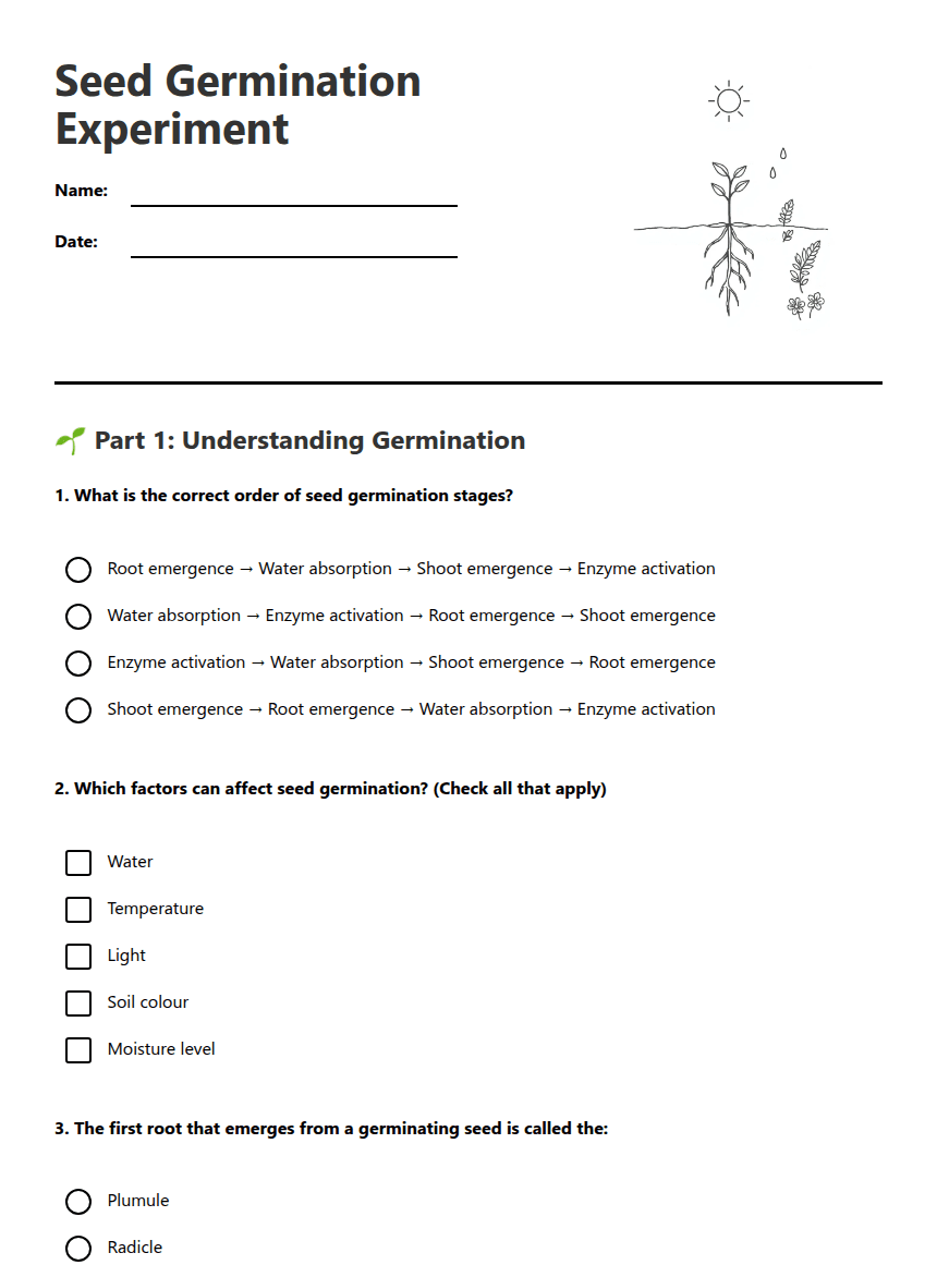 Seed Germination Experiment worksheet preview