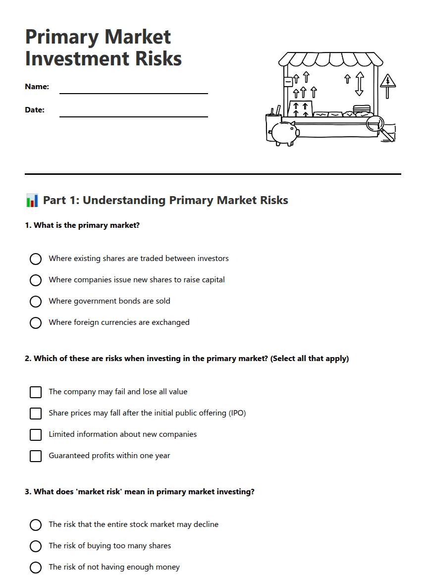 Primary Market Investment Risks worksheet preview