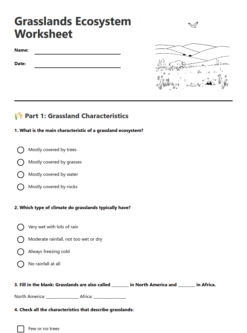 Grasslands Ecosystem Worksheet worksheet preview