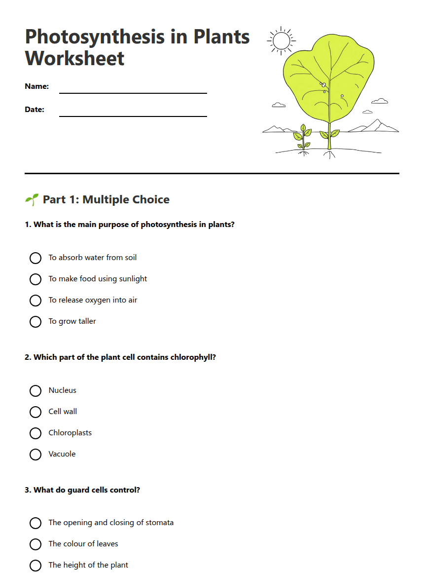 Photosynthesis in Plants Worksheet worksheet preview