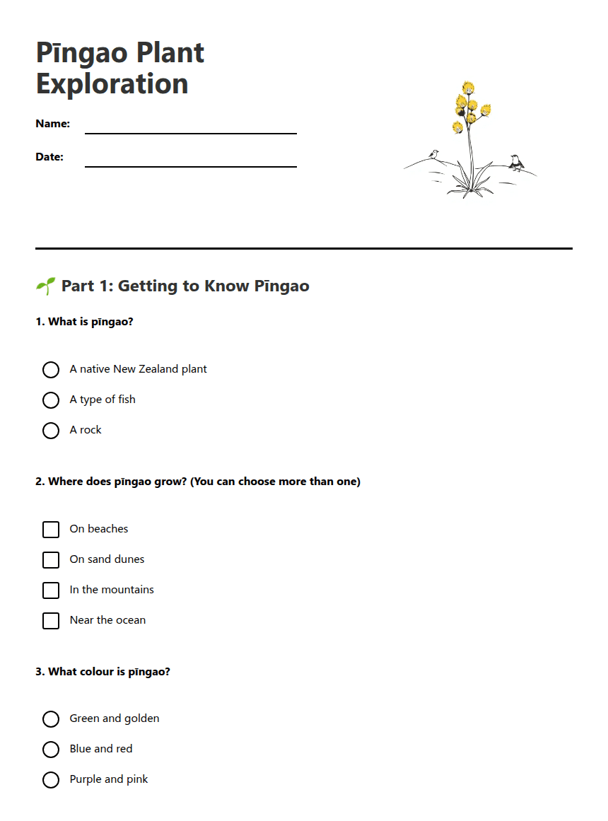 Pīngao Plant Exploration worksheet preview