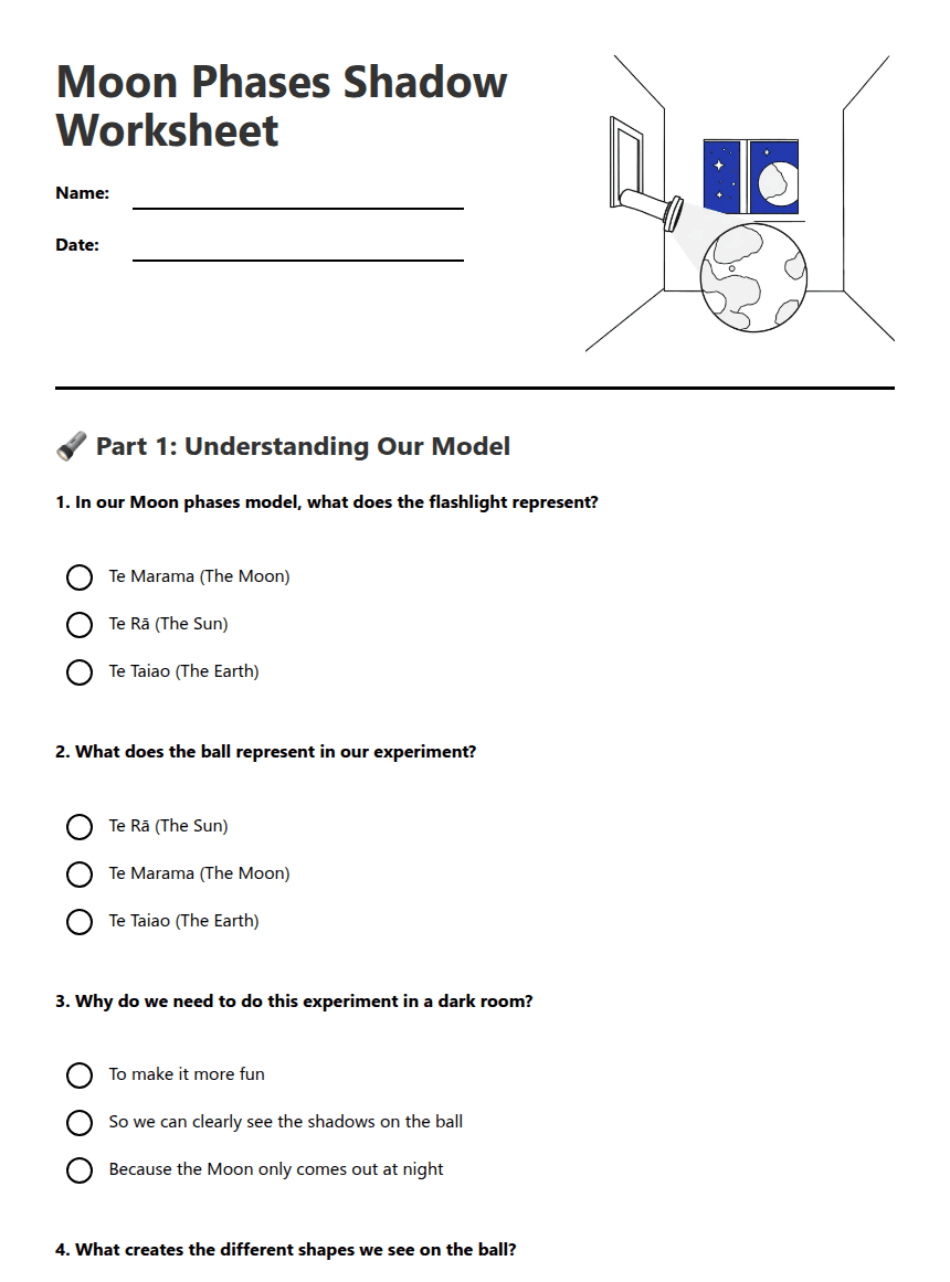 Moon Phases Shadow Worksheet worksheet preview