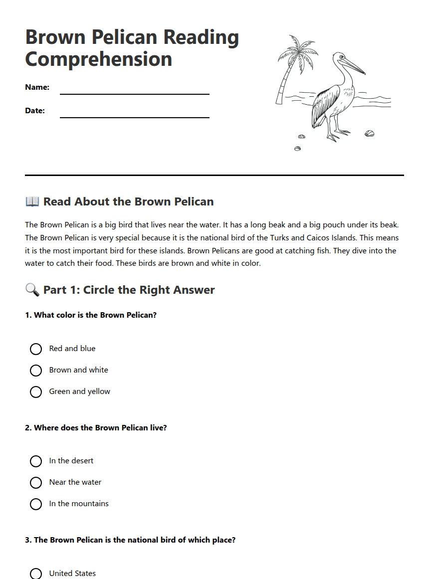 Brown Pelican Reading Comprehension worksheet preview
