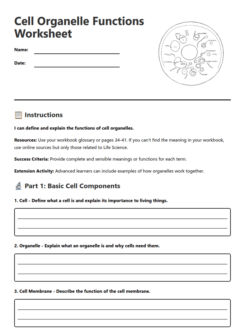 Cell Organelle Functions Worksheet