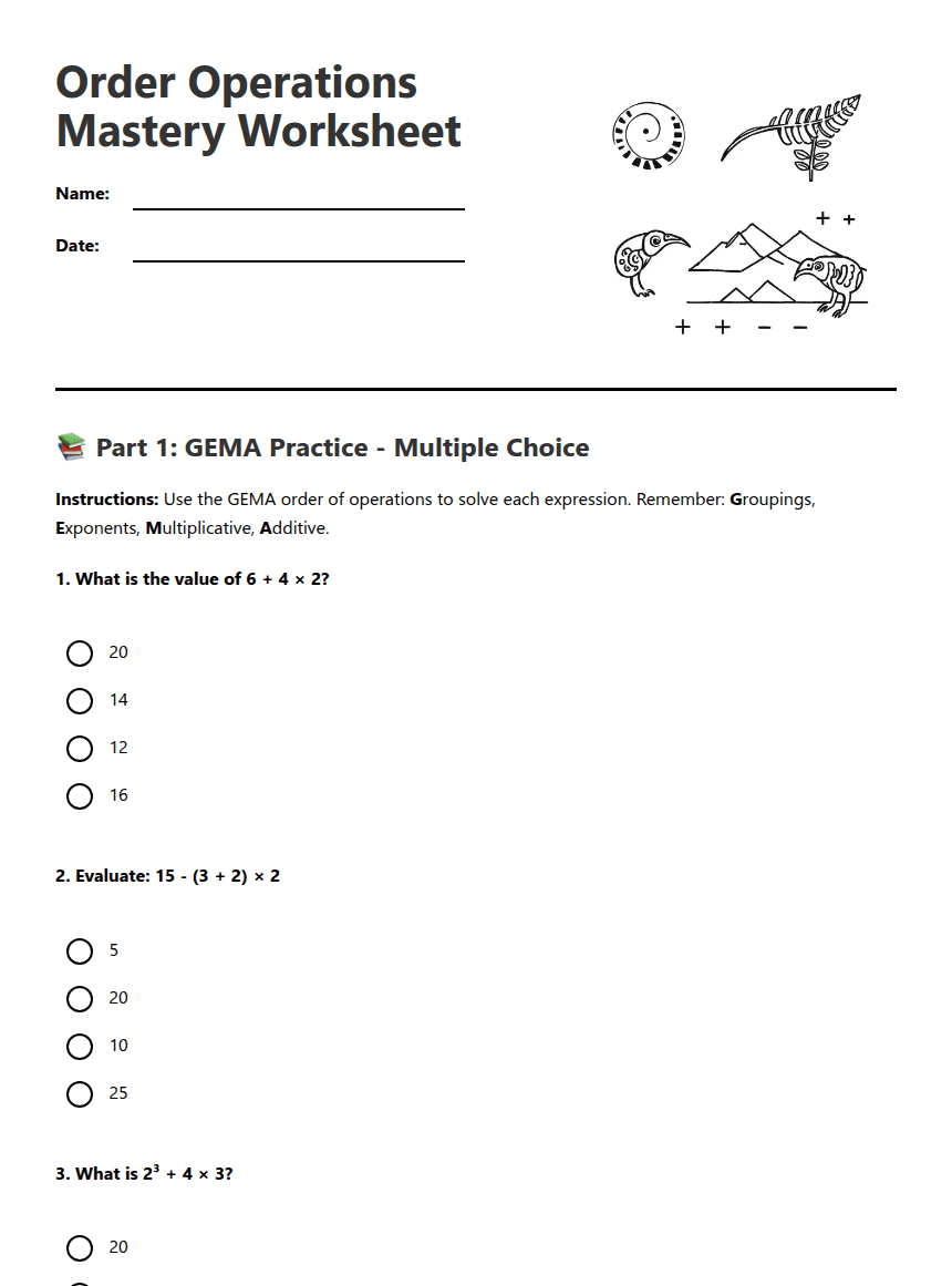 Order Operations Mastery Worksheet worksheet preview