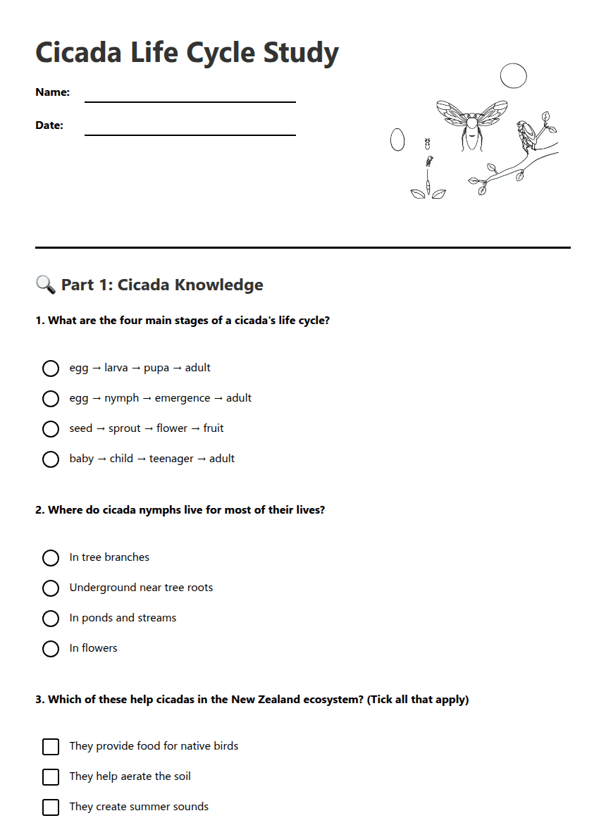 Cicada Life Cycle Study worksheet preview