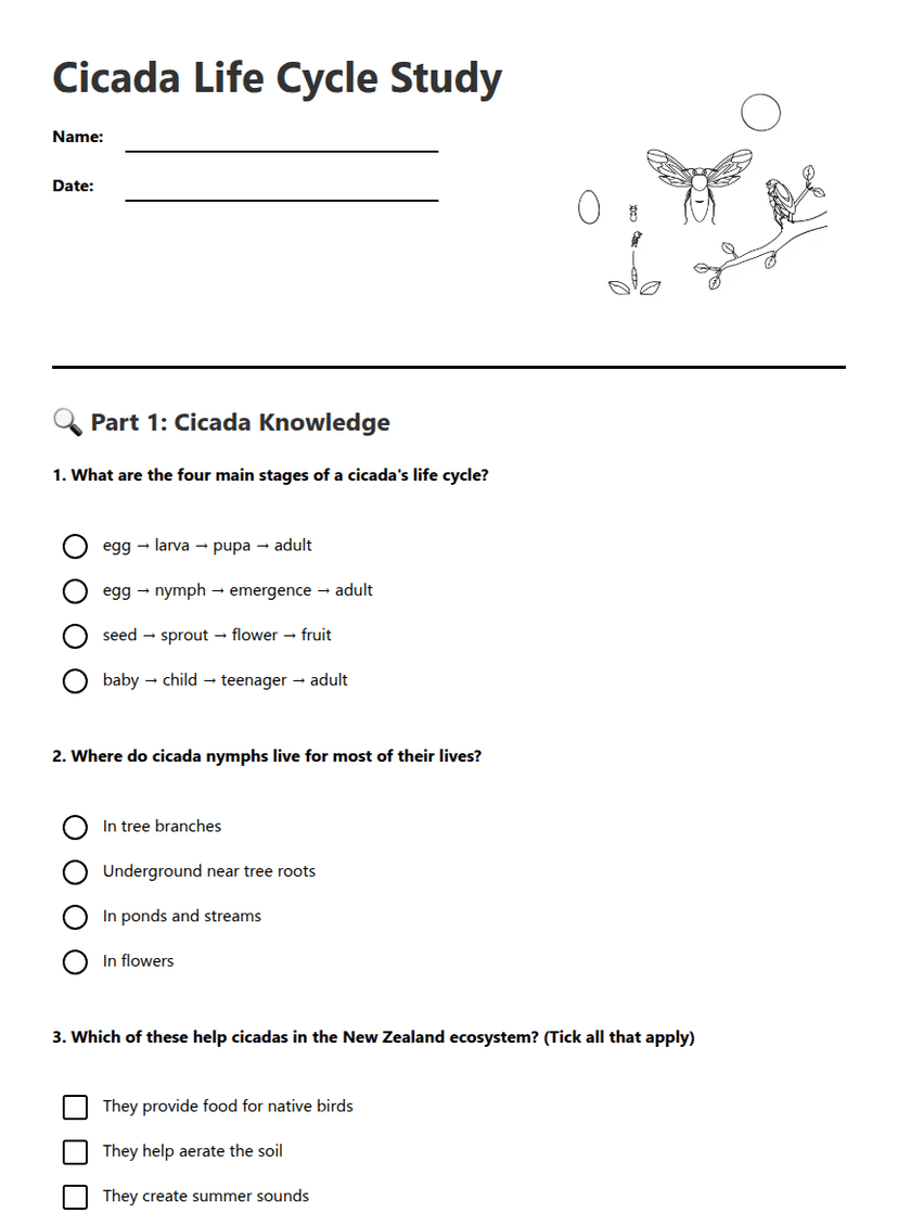 Cicada Life Cycle Study