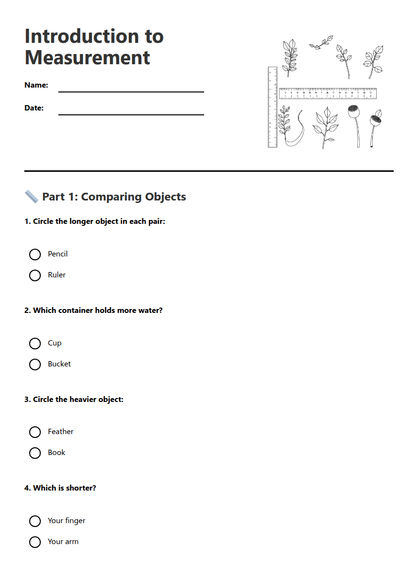Introduction to Measurement worksheet preview