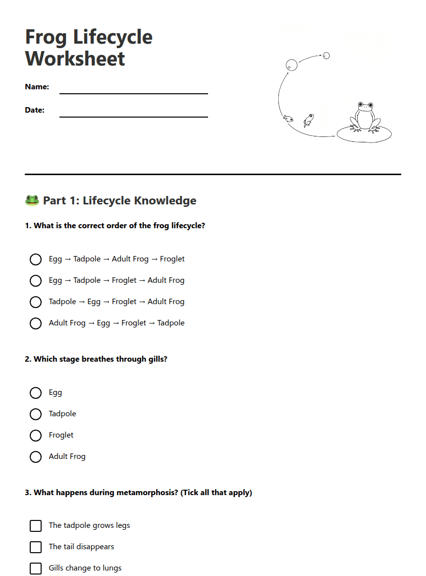 Frog Lifecycle Worksheet worksheet preview