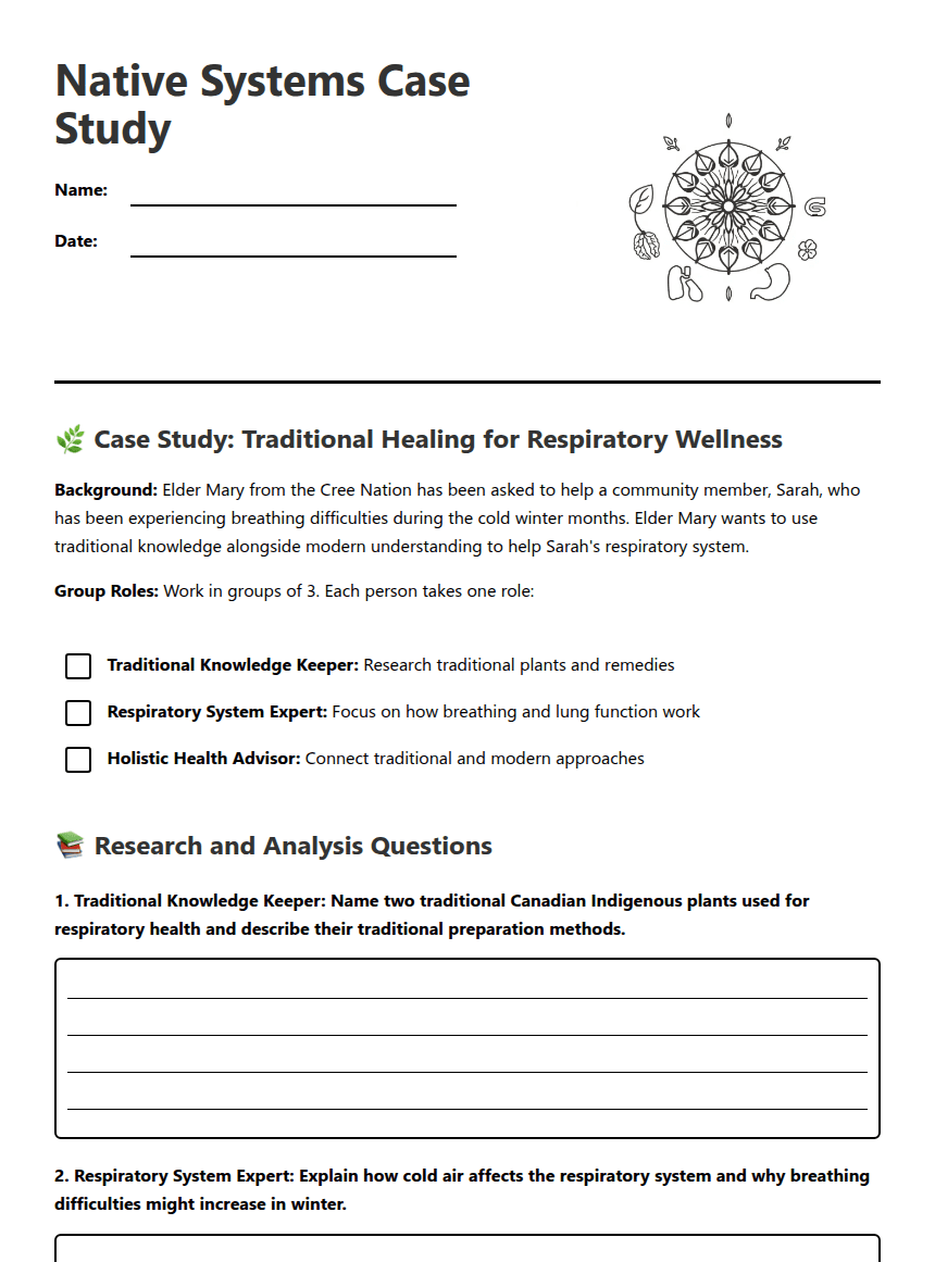 Native Systems Case Study worksheet preview