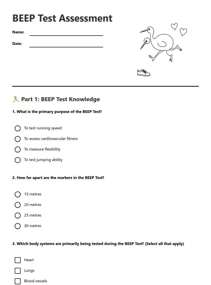 BEEP Test Assessment worksheet preview