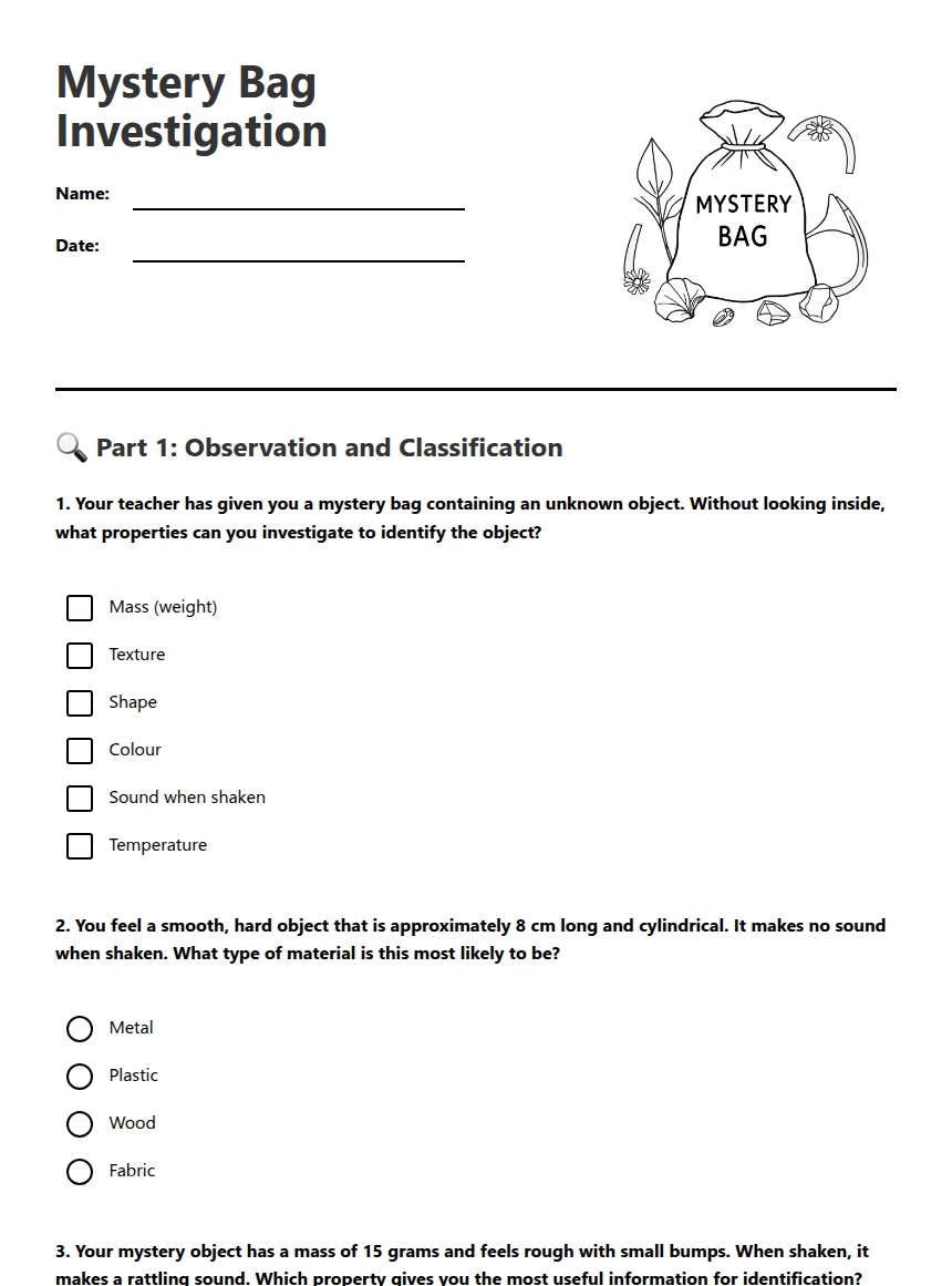 Mystery Bag Investigation worksheet preview