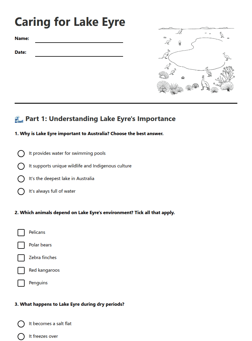 Caring for Lake Eyre worksheet preview