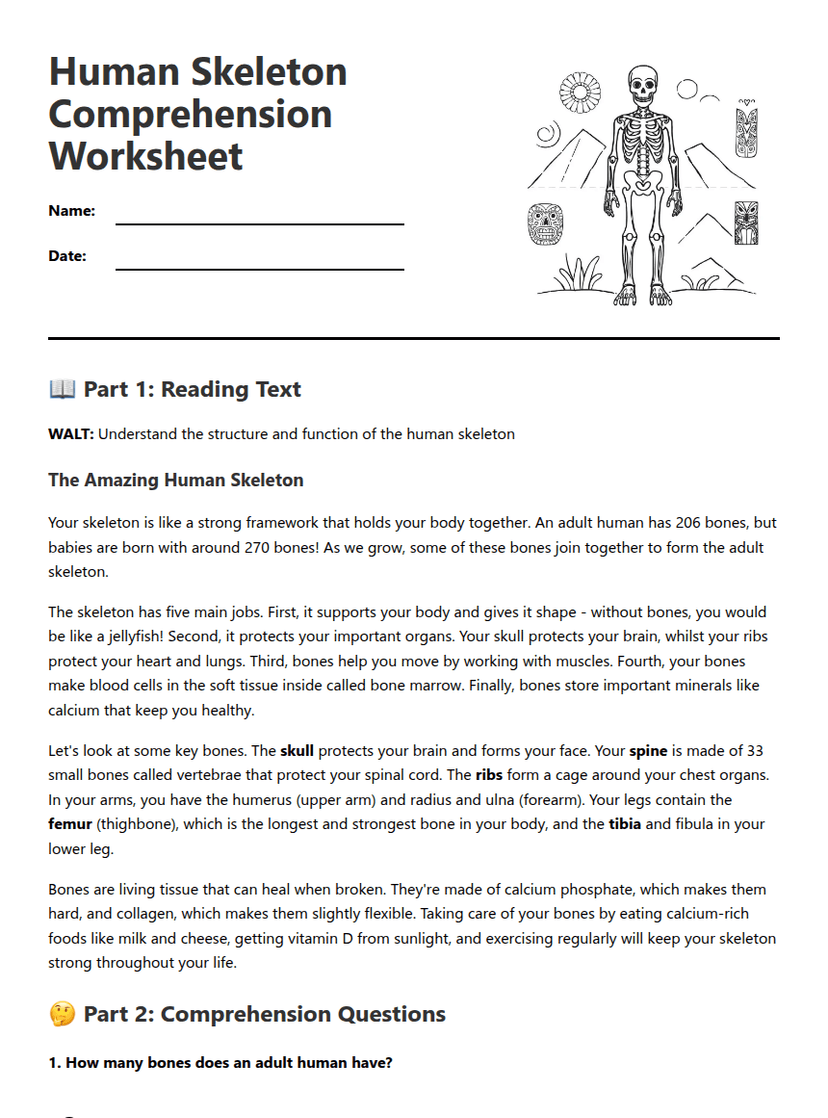 Human Skeleton Comprehension Worksheet