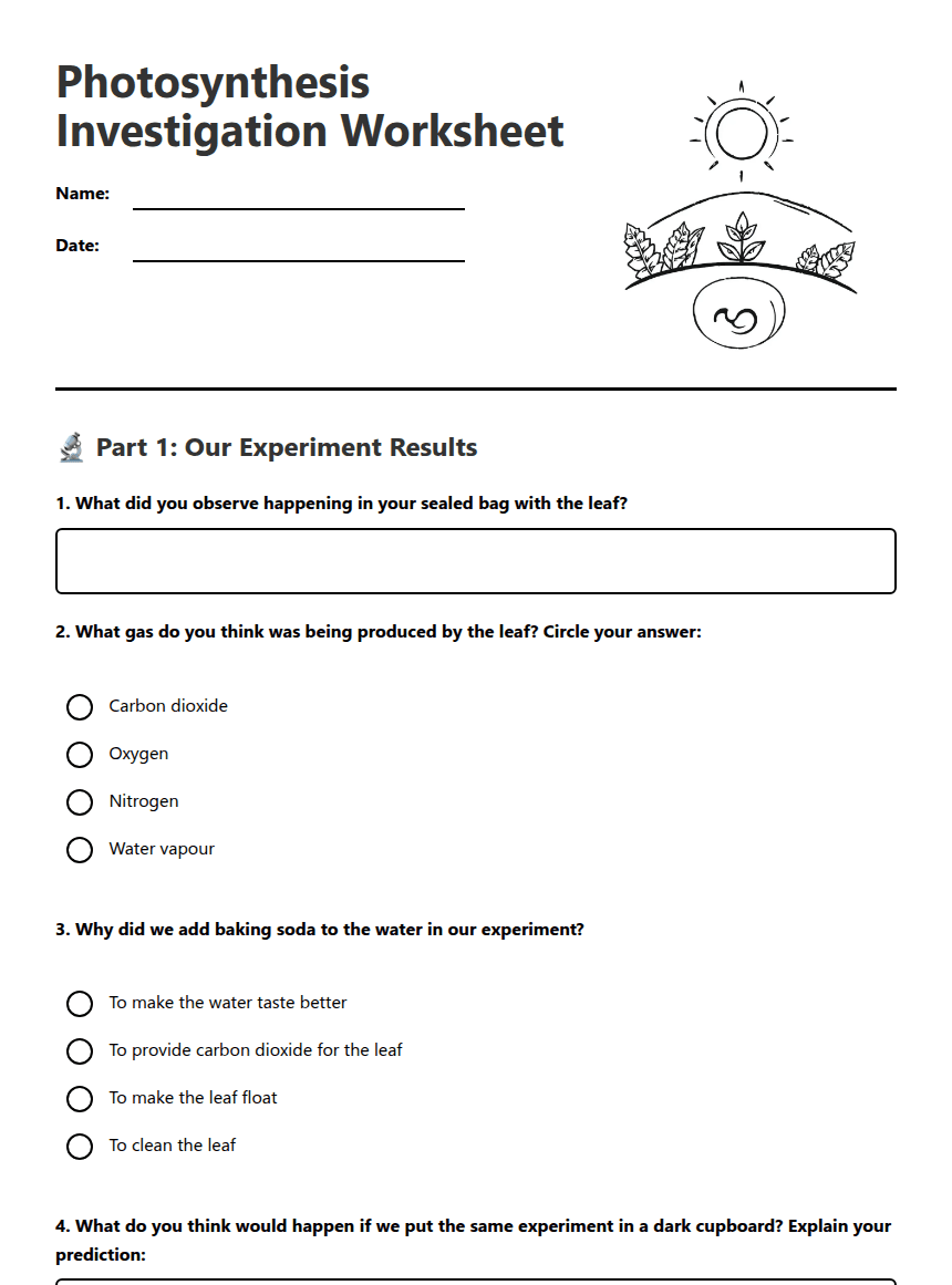 Photosynthesis Investigation Worksheet worksheet preview