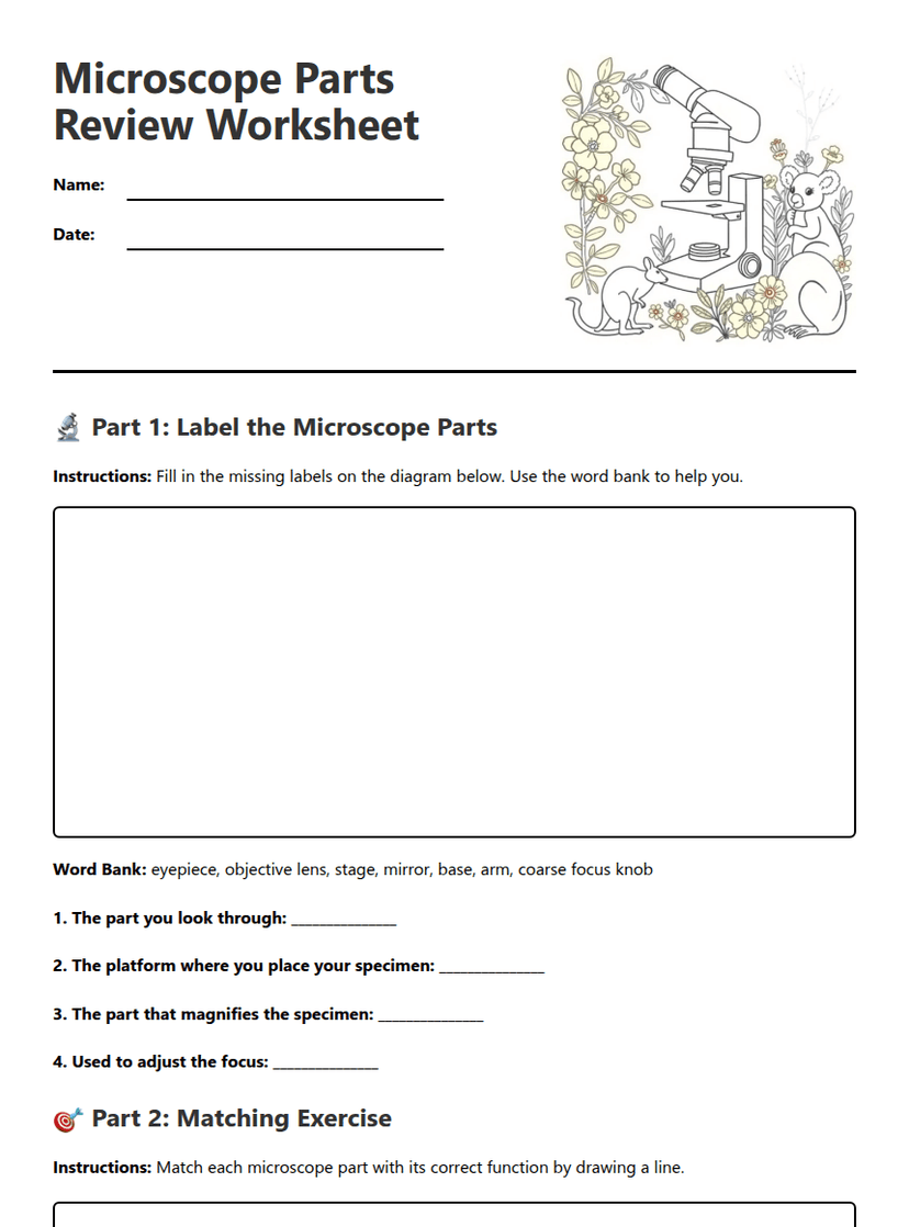 Microscope Parts Review Worksheet