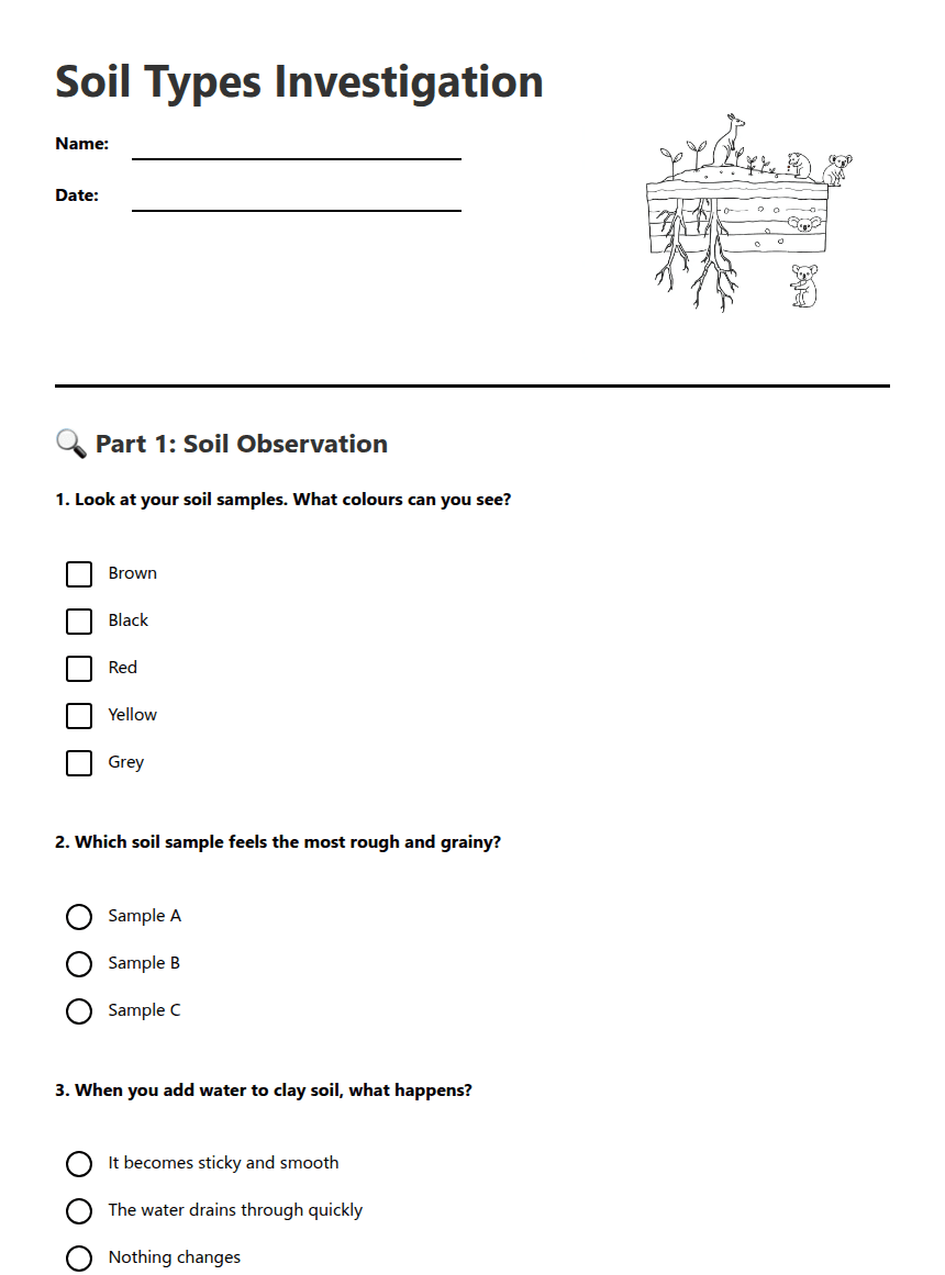 Soil Types Investigation worksheet preview