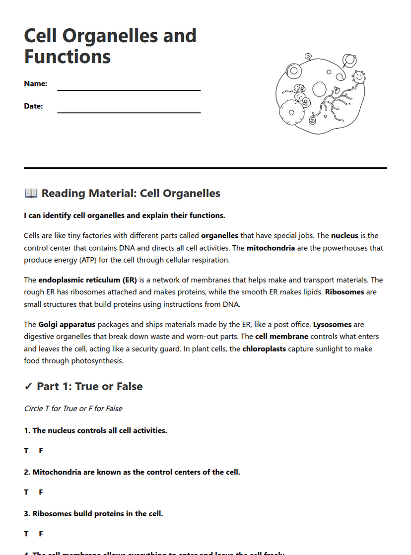 Cell Organelles and Functions